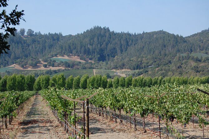 8 Hour Private Napa Wine Tasting Tour with a Sample Stops - The Sum Up: Who Should Consider This Tour?