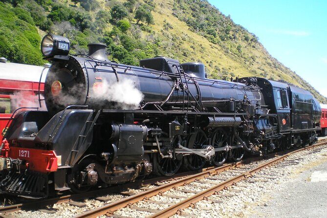 8-Hour Private Scenic Kapiti Coast Tour from Wellington - Lunch and Beach Views