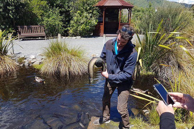 8-Hour Private Scenic Kapiti Coast Tour from Wellington - Overall Value