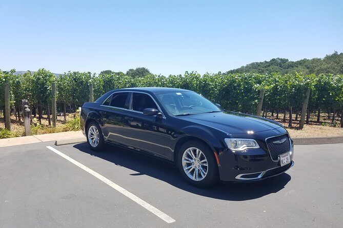 8 Hour Private Tour in Napa Valley Winery - Who Should Consider This Tour?