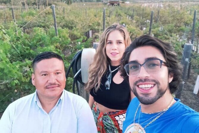 8 Hour Private Tour in the Guadalupe Valley 1-4 Passengers - Practical Details and Considerations