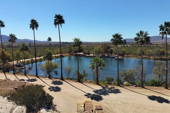 8 Hour Private Tour in the Guadalupe Valley 1-4 Passengers - In The Sum Up: Who Is This Tour Best For?