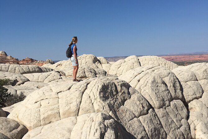 8 Hour White Pocket UTV or 4WD Tour! Starting at $215 per person! - In The Sum Up