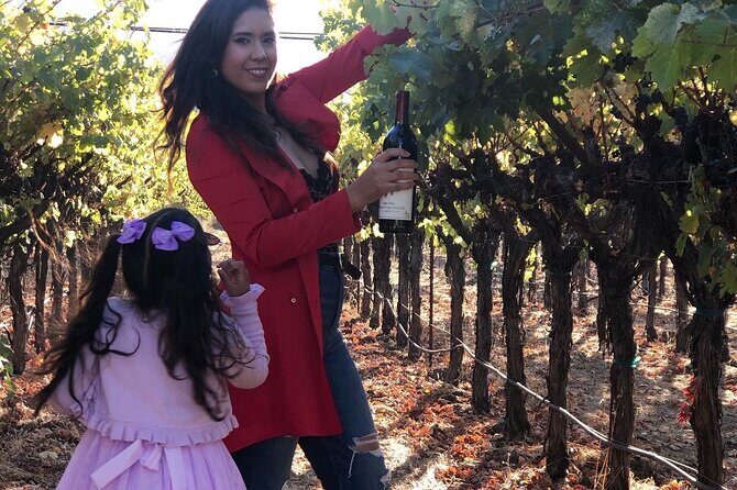 8 Hours 12 Passengers limo bus for Napa or Sonoma wine tour - A Closer Look at the Itinerary: What’s Included