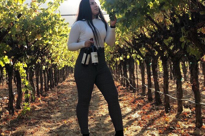 8 Hours 12 Passengers limo bus for Napa or Sonoma wine tour - What Travelers Say (Based on Reviews)