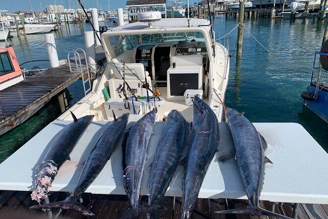 8 hours 38ft Reel Dreams Private Charter Nassau - Final Thoughts