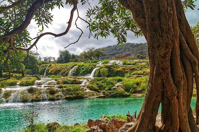 8 Hours of Salalah Best: East & West Private Tour - Diving into the Details: What to Expect on the Salalah East & West Tour