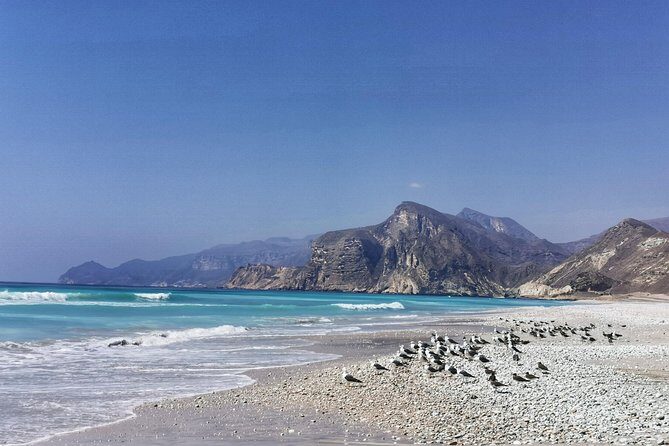 8 Hours of West Salalah Best | Private Tour - Starting the Journey: A Well-Organized Private Experience