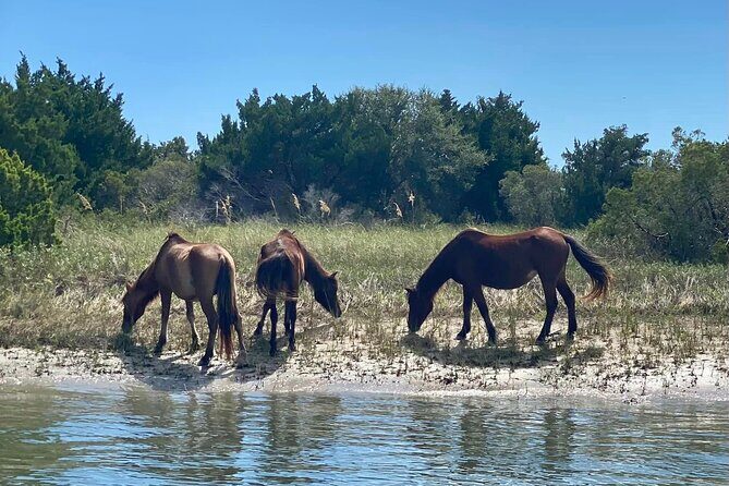 8 Hours Private Crystal Coast Sightseeing in North Carolina - Key Points