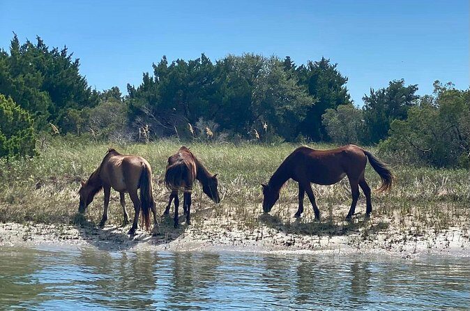 8 Hours Private Crystal Coast Sightseeing in North Carolina - Final Thoughts: Who Will Love This Tour?