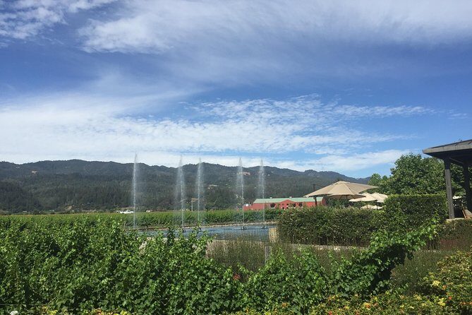 8-Hours Private Limo(up to 8 pass.) Wine Tour of Napa Valley from San Francisco - Who Is This Tour Best For?