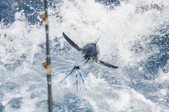 8 Hours Private Sport Fishing Charter Trip in Cabo San Lucas - The Experience for Different Types of Travelers