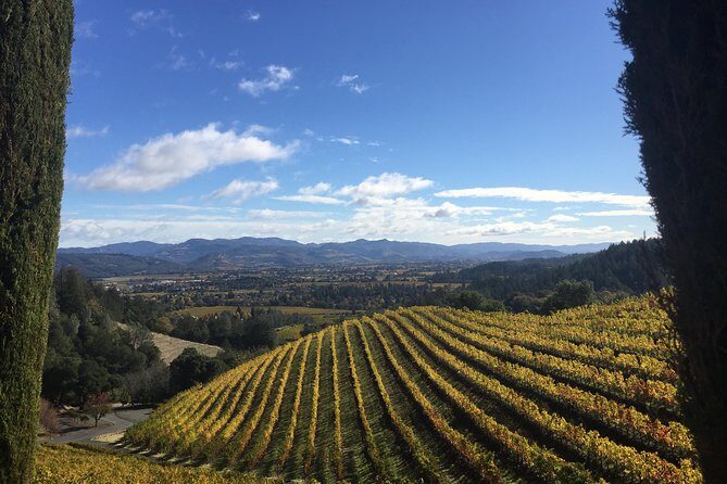8-Hours Private SUV (up to 6 Passengers) San Francisco to Napa Valley Wine Tour - The Itinerary: What to Expect