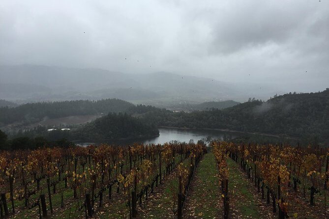 8-Hours Private SUV (up to 6 Passengers) San Francisco to Napa Valley Wine Tour - What Travelers Are Saying