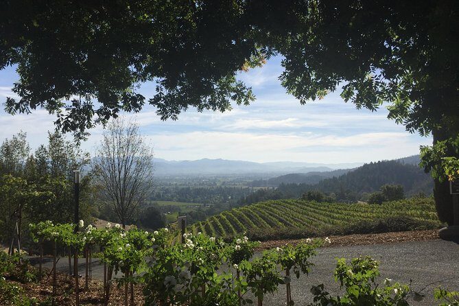 8-Hours Private SUV (up to 6 Passengers) San Francisco to Napa Valley Wine Tour - Final Thoughts: Is This Tour Right for You?