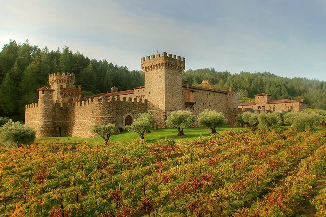 8-hr Beer & Wine Tour of Sonoma/Napa from San Francisco in XL SUV - An In-Depth Look at the Experience