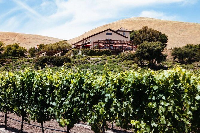 8-hr Private Russian River Wine Tour from San Francisco in XL SUV - Final Thoughts