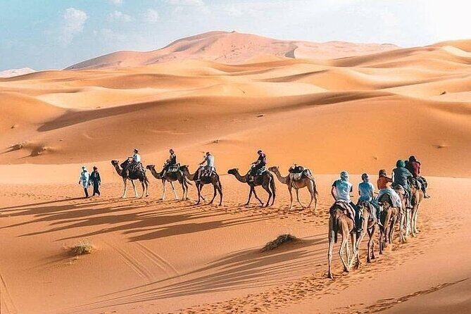 8D Morocco Luxury Private Tour From Casablanca By Imperial Cities - From Mountain Passes to Sahara Dunes