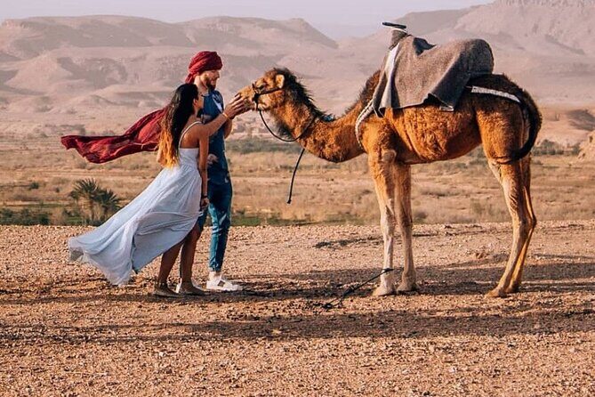 8D Morocco Luxury Private Tour From Casablanca By Imperial Cities - Marrakech: The Vibrant Final Chapter