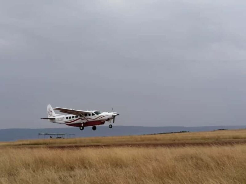 8Days Luxury Flying Safari :Amboseli, Samburu And Masai Mara - An Honest Look at the 8 Days Luxury Flying Safari in Kenya