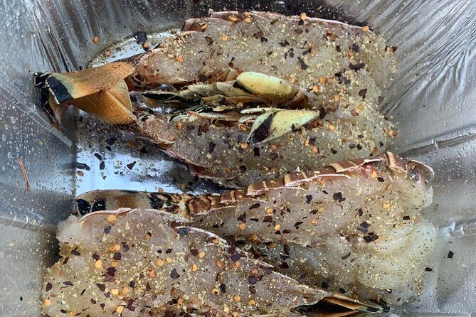 8HR Catch and Grill in Turks and Caicos Islands - The Value of the 8HR Catch and Grill