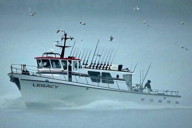 8hr Kenai Fjords Whale Watching Tour w/ 1hr Fishing 16 Passengers - The Value of this Tour