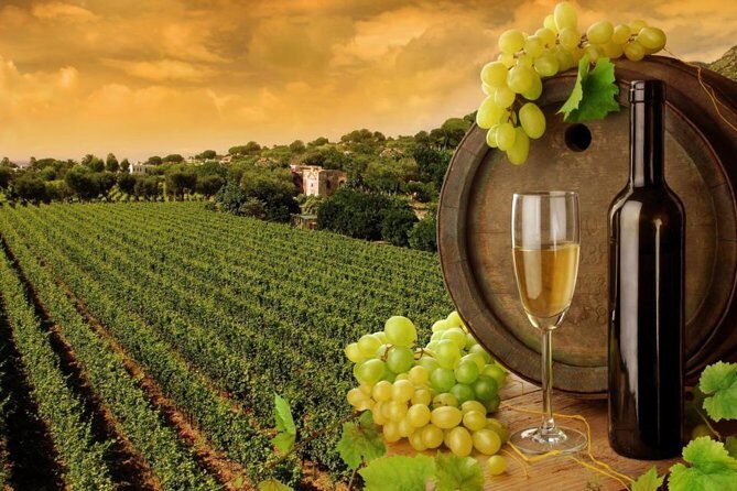 8hr-Private Wine Tour from SF & 1/2 Case of Californian wine. - A Comprehensive Look at the 8-Hour Private Wine Tour from San Francisco