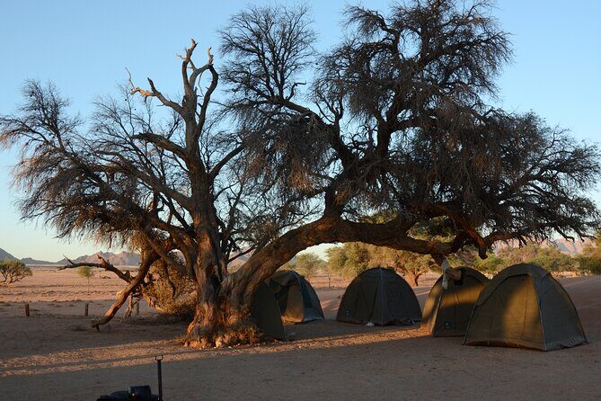9 Day Canyons, Dunes & Wildlife Camping and Lodge Safari - What Travelers Say: Authentic Feedback