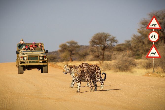 9 Day Etosha, Skeleton Coast and Sossusvlei Camping and Lodge Safari - Exploring Namibia’s Wildlife and Conservation Efforts