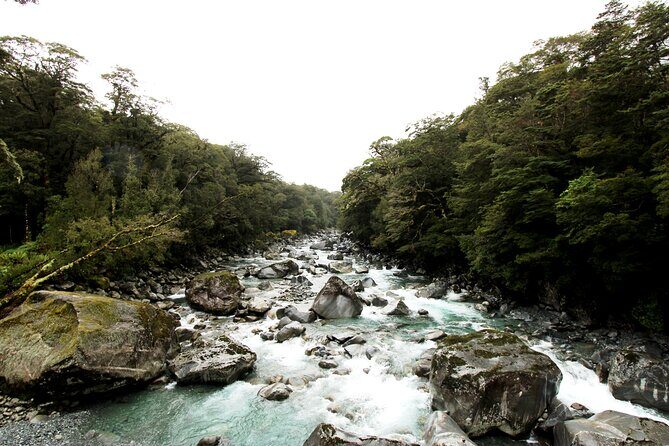9 Day South to North Island NZ Private Tour from Queenstown - Wrapping It Up