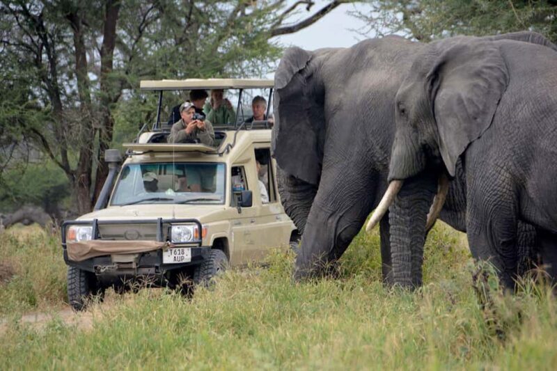 9-day Wildebeest Migration Safari on a Land Cruiser 4x4 jeep - Key Points