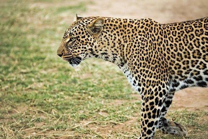 9 days, 8 nights budget Kenya and Tanzania safari - What Reviewers Say