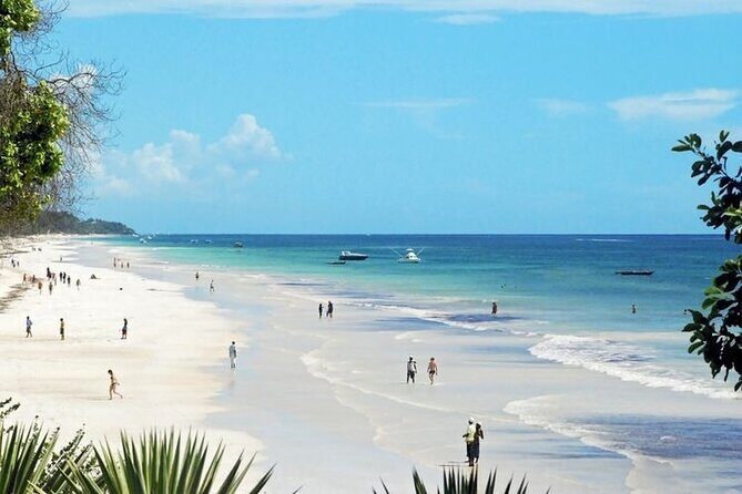 9-Days Bush and Beach Private Experience - Who Is This Tour Best For?