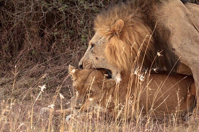 9- Days Classic Kenya Family Safari - Final Thoughts
