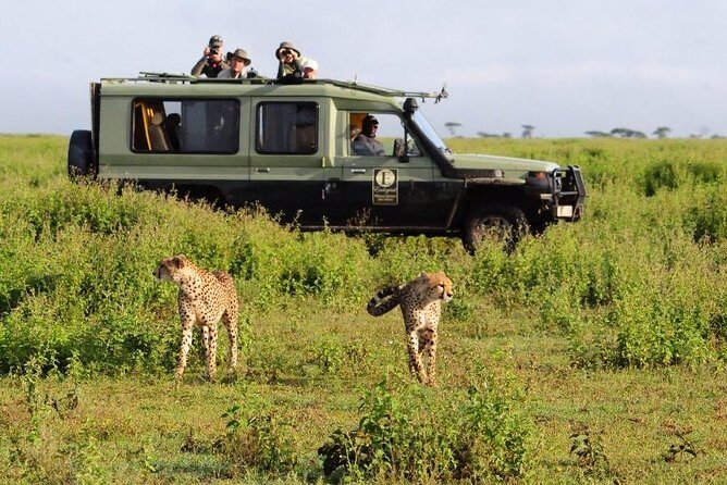 9-Days Discover Kenya Private Safari - FAQs