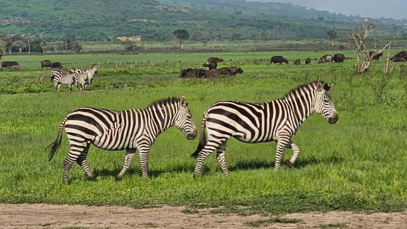 9 Days Discover Rwanda Burundi by Motorcycle - An In-Depth Look at the Itinerary