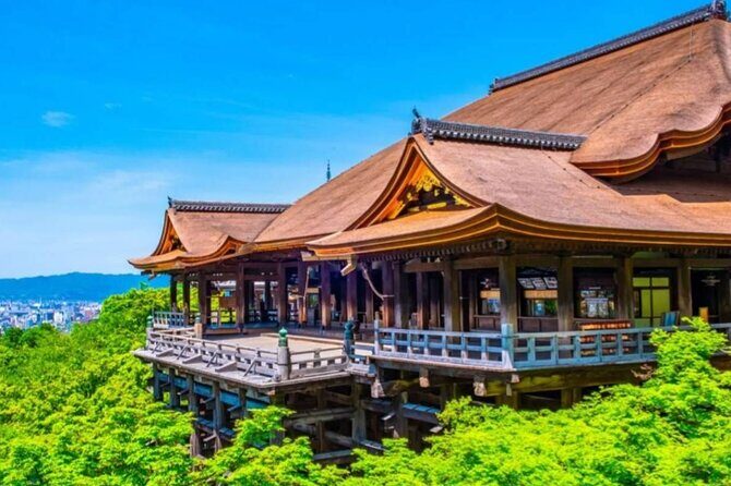 9 Days In Depth Cultural Japan Small Group Tour - Frequently Asked Questions