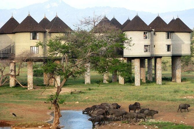 9 Days Kenya Classic Lodge Safari - The Value of This Safari