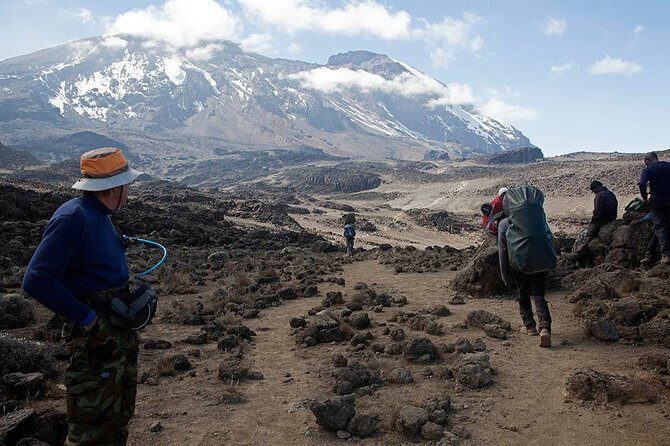 9 Days Kilimanjaro Hiking or Climbing via Northern Circuit route - Authentic Experiences and Real Insights