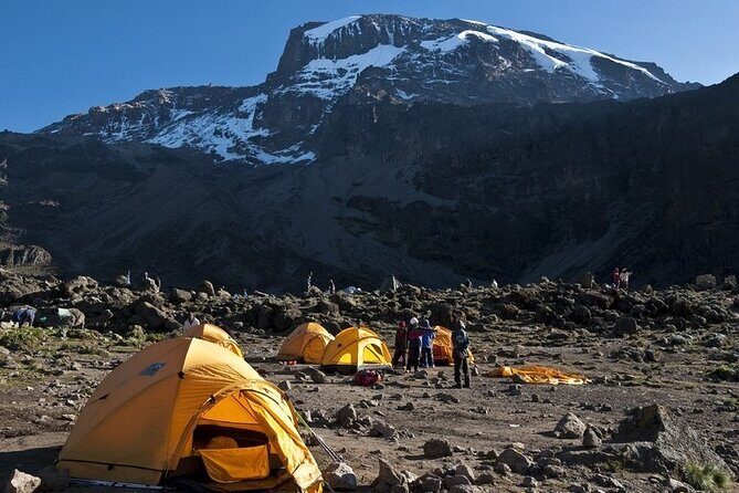 9 Days Kilimanjaro Hiking or Climbing via Northern Circuit route - FAQ