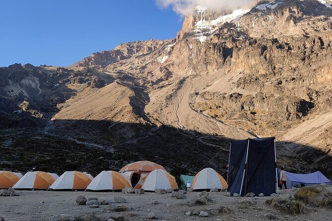 9 Days Mount Kilimanjaro Climb Machame Route - Day 8: Descent to Mweka Gate