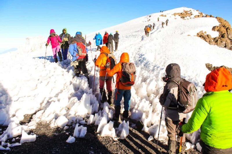9 Days Mount Kilimanjaro Climbing Northern Circuit Route - Key Points