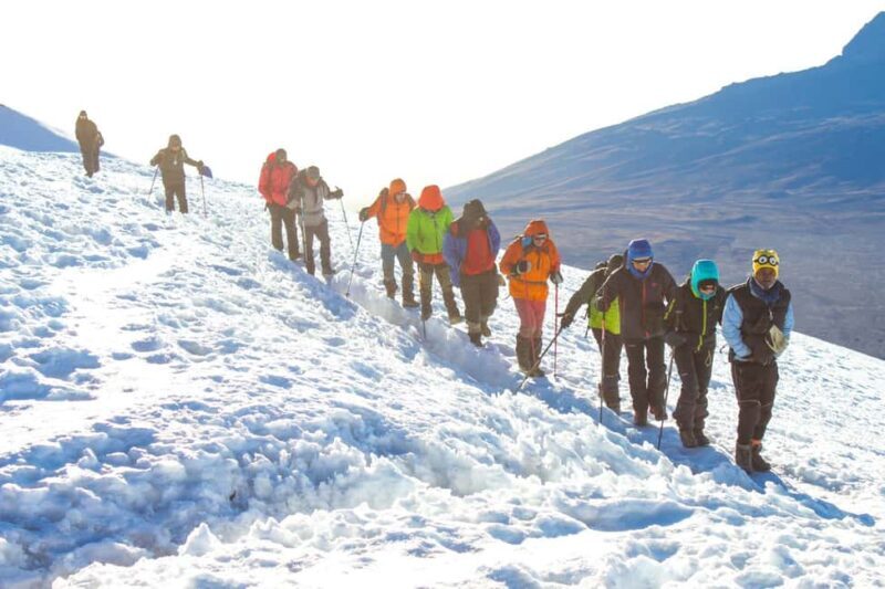 9 Days Mount Kilimanjaro Climbing Northern Circuit Route - Frequently Asked Questions