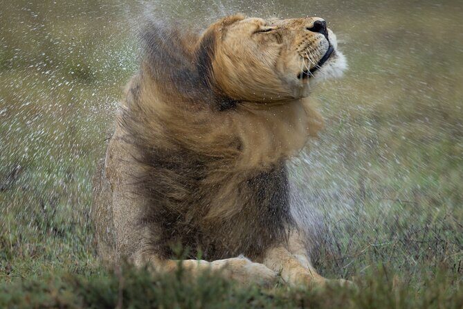 9 Days of Private Safari Tour in Serengeti and Ngorongoro - Who Should Consider This Tour?