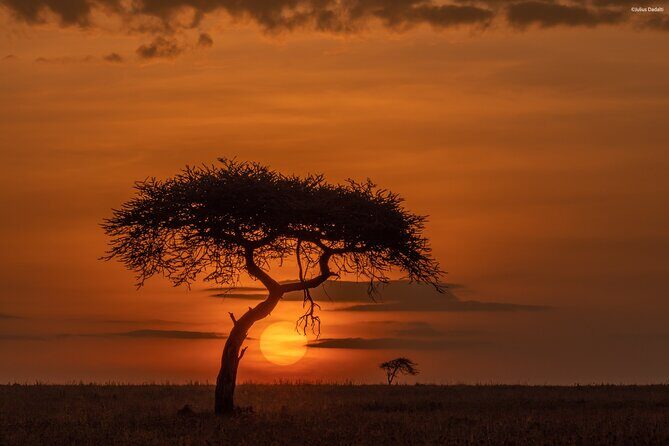 9 Days of Private Safari Tour in Serengeti and Ngorongoro - FAQs