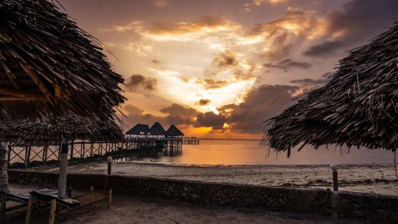 9 Days Selous Safari and Zanzibar Beach Holiday Tour - Detailed Breakdown of the Itinerary