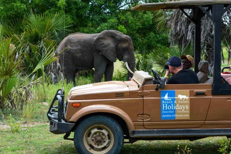 9 Days Selous Safari and Zanzibar Beach Holiday Tour - FAQ