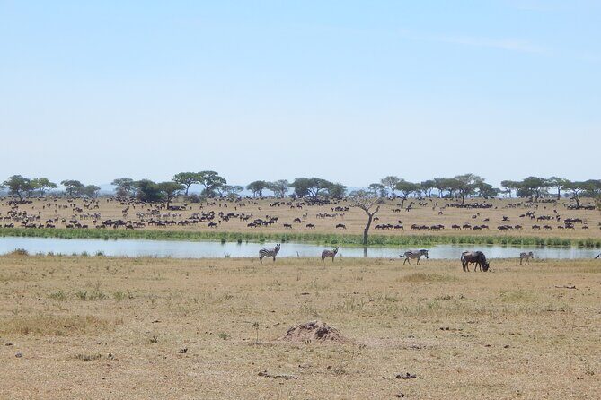 9 Days Tanzania Exhaustive Safari - Who Should Consider This Tour?
