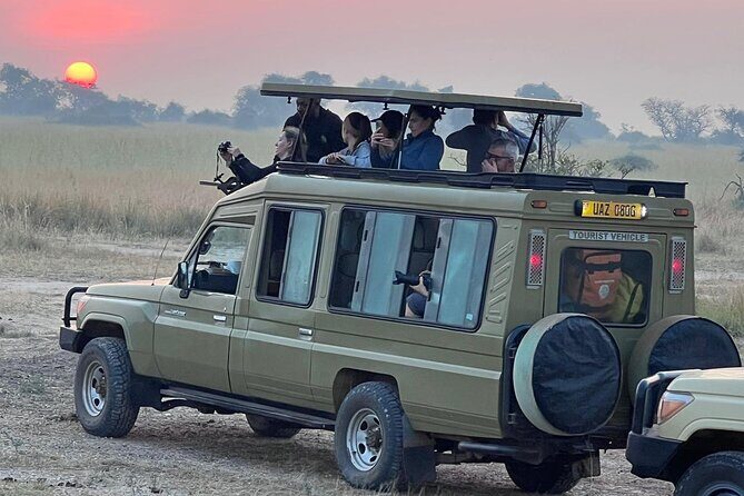 9 Days Uganda Wildlife Safaris, Gorilla Trekking & Hiking - Why This Tour Offers Great Value