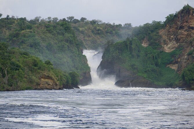 9 Days Uganda Wildlife Safaris, Gorilla Trekking & Hiking - Authentic Reviews and Real Experiences